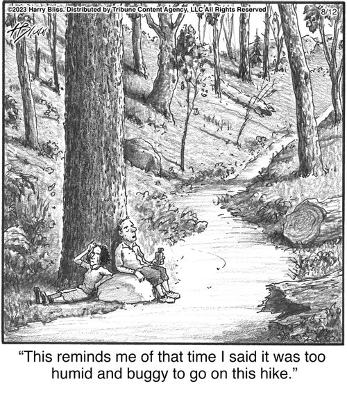 "This reminds me of that time I said it was too humid and buggy to go on this hike."