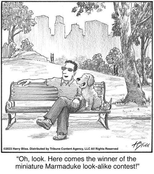 "Oh, look. Here comes the winner of the miniature Marmaduke look-alike contest!"