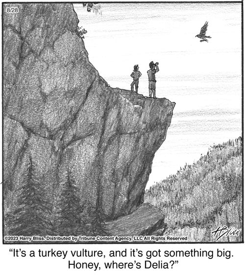 "It's a turkey vulture, and it's got something big. Honey, where's Delia?"
