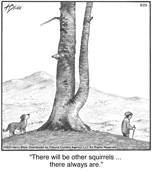 "There will be other squirrels ... there always are."
