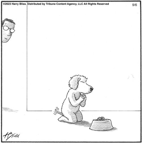 Dog Prayers