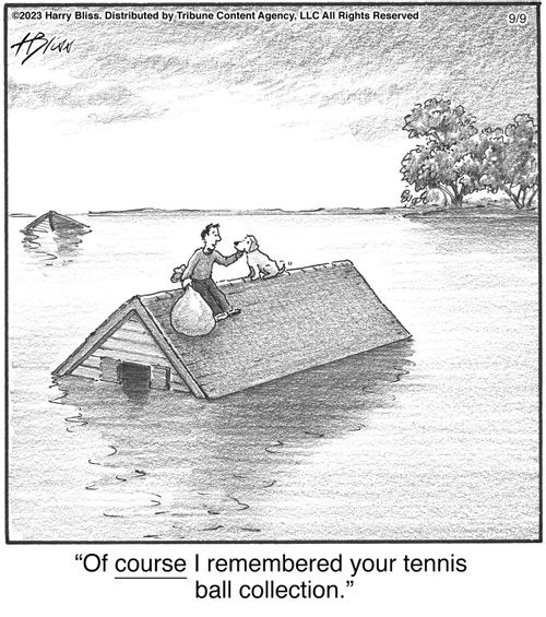 "Of course I remembered your tennis ball collection."