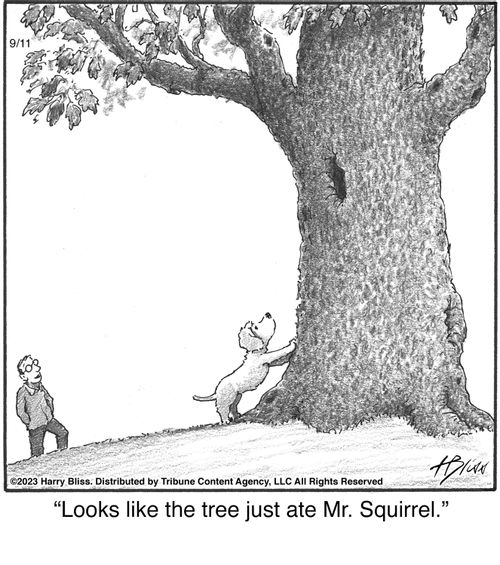 "Looks like the tree just ate Mr. Squirrel."