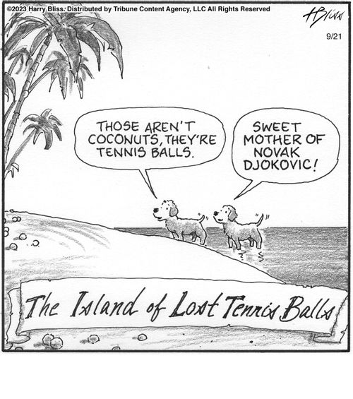 "Those aren't coconuts, they're tennis balls."  "Sweet mother of Novak Djokovic!"  The island of lost tennis balls.