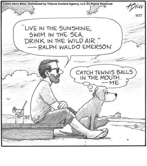 "Live in the sunshine, swim in the sea, drink in the wild air." — Ralph Waldo Emerson  "Catch tennis balls in the mouth." — Me