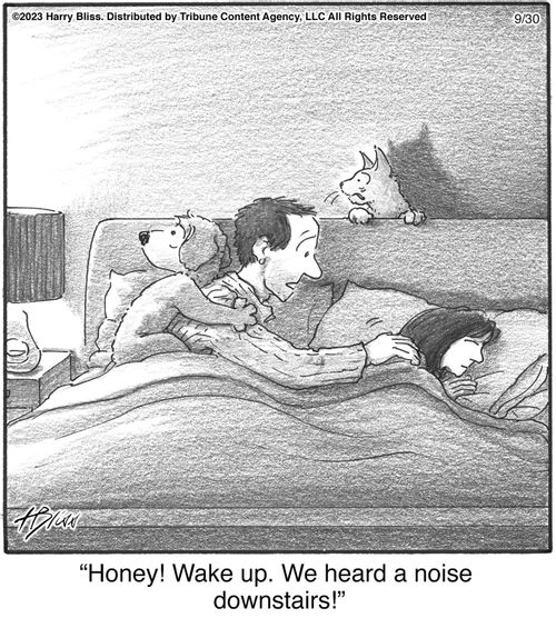 "Honey! Wake up. We heard a noise downstairs!"