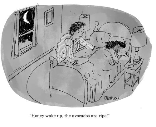 "Honey wake up, the avocados are ripe!"
