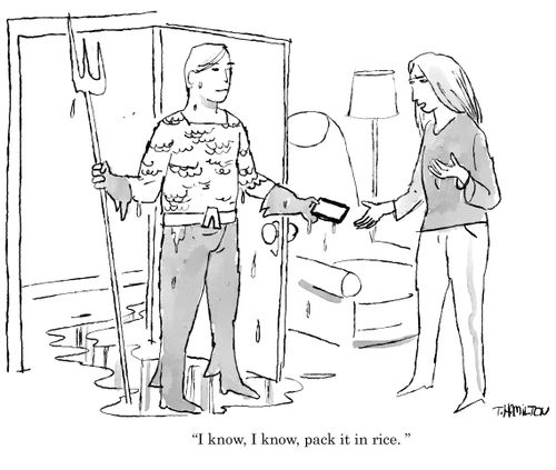 "I know, I know, pack it in rice."