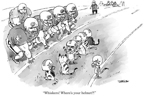 "Whiskers! Where's your helmet?!"