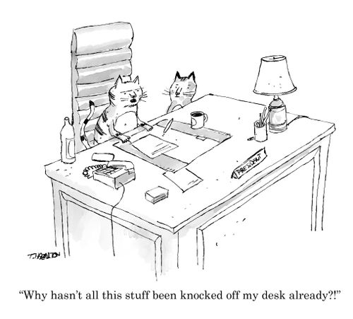 "Why hasn't all this stuff been knocked off my desk already?!"