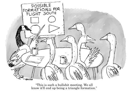 "This is such a bullshit meeting. We all know it'll end up being a triangle formation."