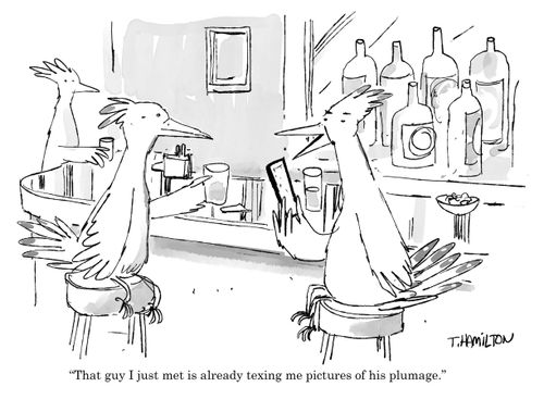 "That guy I just met is already texting me pictures of his plumage."