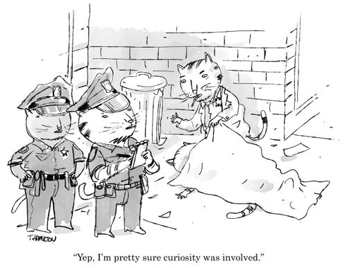 "Yep, I'm pretty sure curiosity was involved."