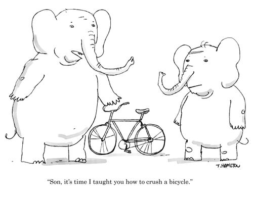 "Son, it's time I taught you how to crush a bicycle."