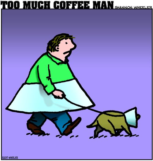 A man walks his dog wearing a cone.