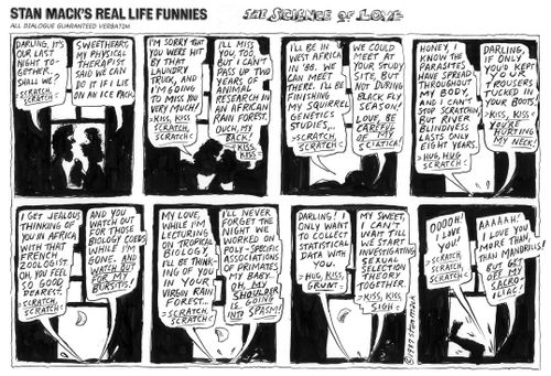 Stan Mack's Real Life Funnies: The Science of Love