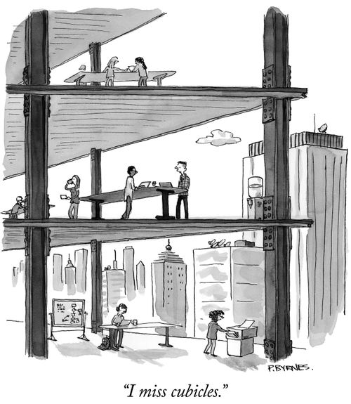 "I miss cubicles."