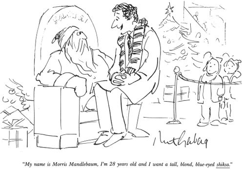 "My name is Morris Mandlebaun, I'm 28 years old and I want a tell, blond, blue-eyed shiksa."