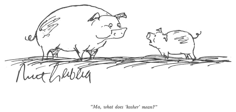 "Ma, what does 'kosher' mean?"