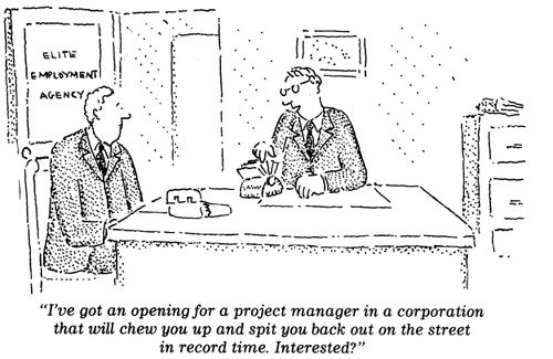 "I've got an opening for a project manager in a corporation that will chew you up and spit you back out on the street in record time. Interested?"