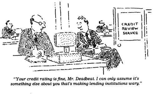 "Your credit rating is fine, Mr. Deadbeat. It's something else that's making lending institutions wary."