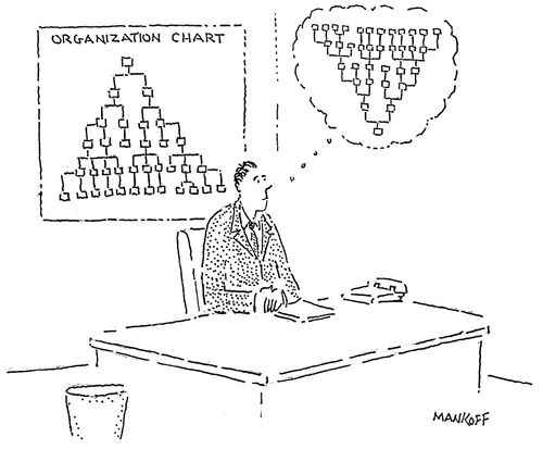 Organization Chart