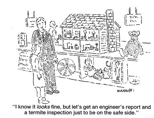 "I know it looks fine, but let's get an engineer's report and a termite inspection just to be on the safe side."