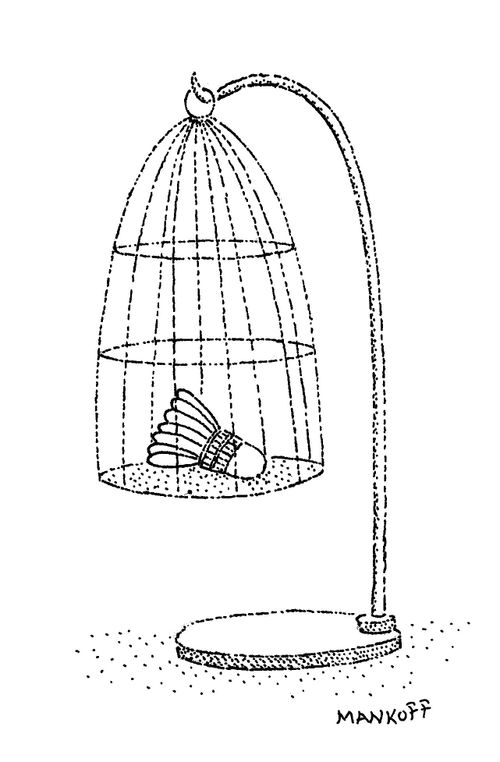 Shuttlecock in a Cage
