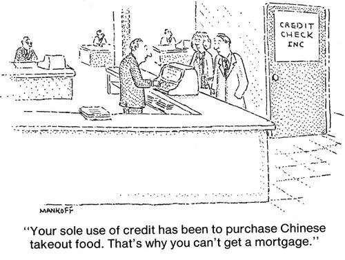 "Your sole use of credit has been to purchase Chinese takeout food. That's why you can't get a mortgage."