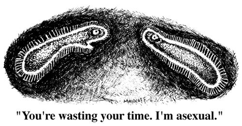 "You're wasting your time. I'm asexual."