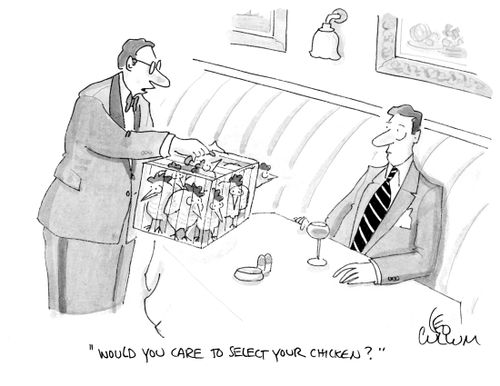 "Would you care to select your chicken?"