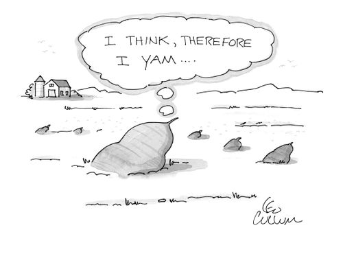 I think, therefore I yam…