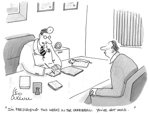 "I'm prescribing two weeks in the carribean. You've got mold."