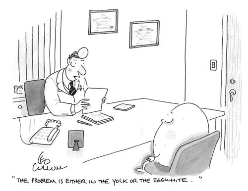 "The problem is either in the yolk or the eggwhite."