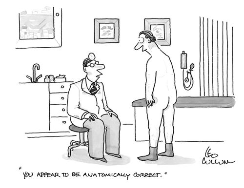 "You appear to be anatomically correct."