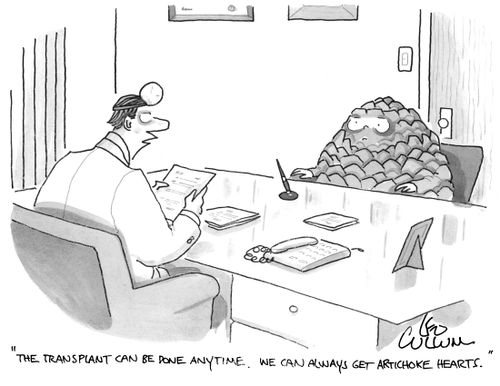 "The transplant can be done anytime. We can always get artichoke hearts."