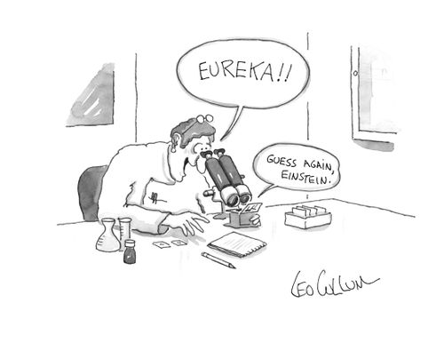 "Eureka!!" "Guess again, Einstein."