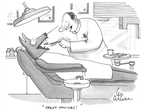 "Great canines!"