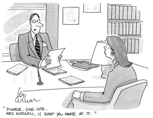"Divorce, like life, Mrs Horgan, is what you make of it."