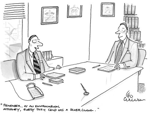 "Remember, as an environmental attorney, every toxic cloud has a silver lining."