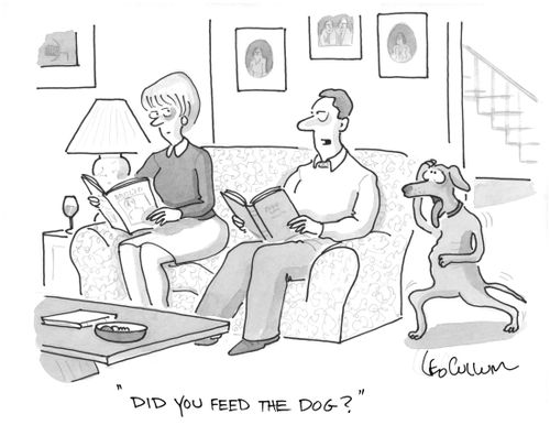 "Did you feed the dog?"