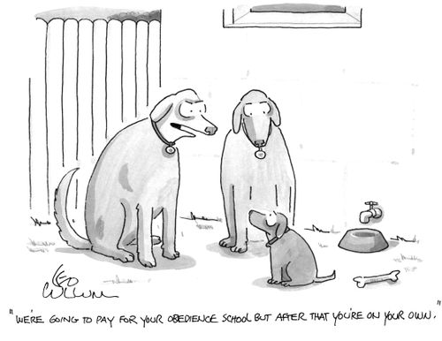 "We're going to pay for your obedience school but after that you're on your own."