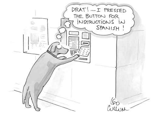 (Dart! ….. I pressed the button for instructions in Spanish!)