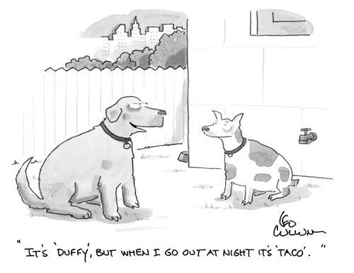 "It's 'Duffy', but when I go out at night it's 'Taco'."