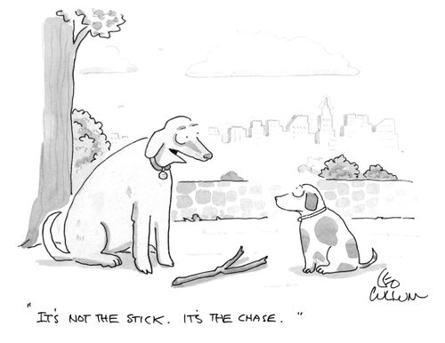 "It's not the stick. It's the chase."