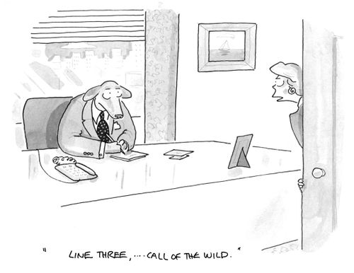 "Line three,…. call of the wild."