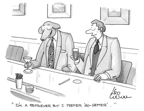 "I'm a retriever but I prefer 'Go-Getter'."