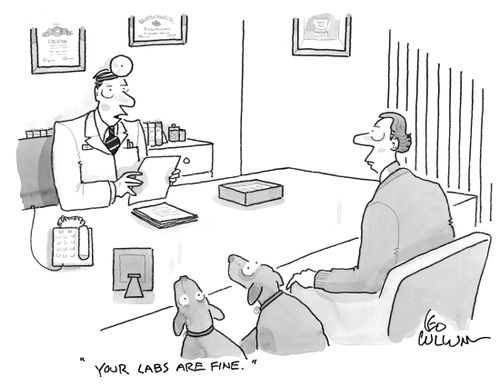 "Your labs are fine."