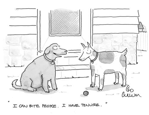 "I can bite people. I have tenure."