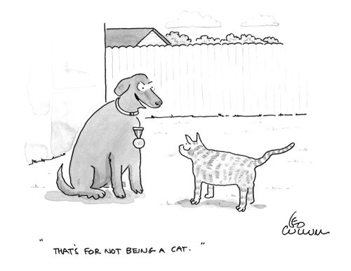 "That's for not being a cat."